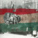 1956 – a Szuezért cserben hagyott magyar forradalom