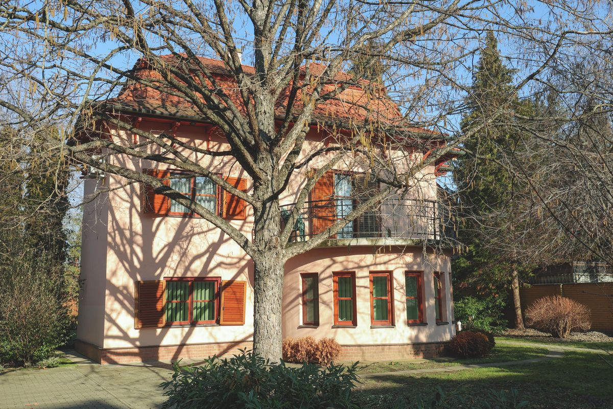 Szent-Györgyi-villa 